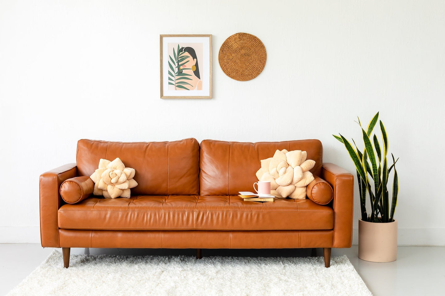 Big Pop Succulent® - Blush Peach - mosswell.us