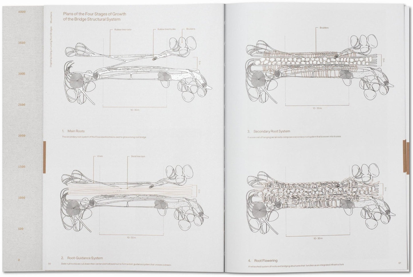 Julia Watson. Lo—TEK. Design by Radical Indigenism (English) - mosswell.us