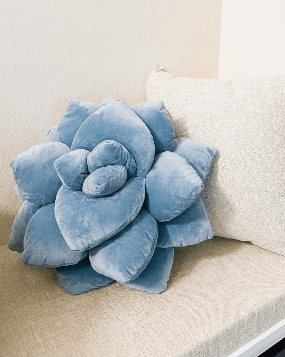 Lil' Pop Succulent® - Smokey Blue - mosswell.us