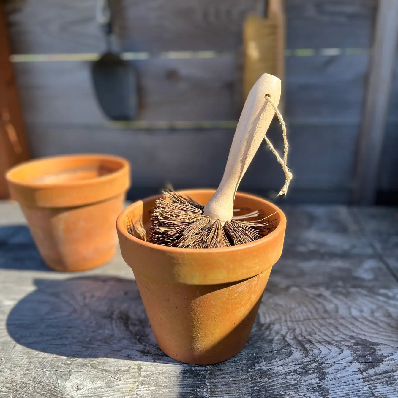 Plant Pot Cleaning Brush - mosswell.us
