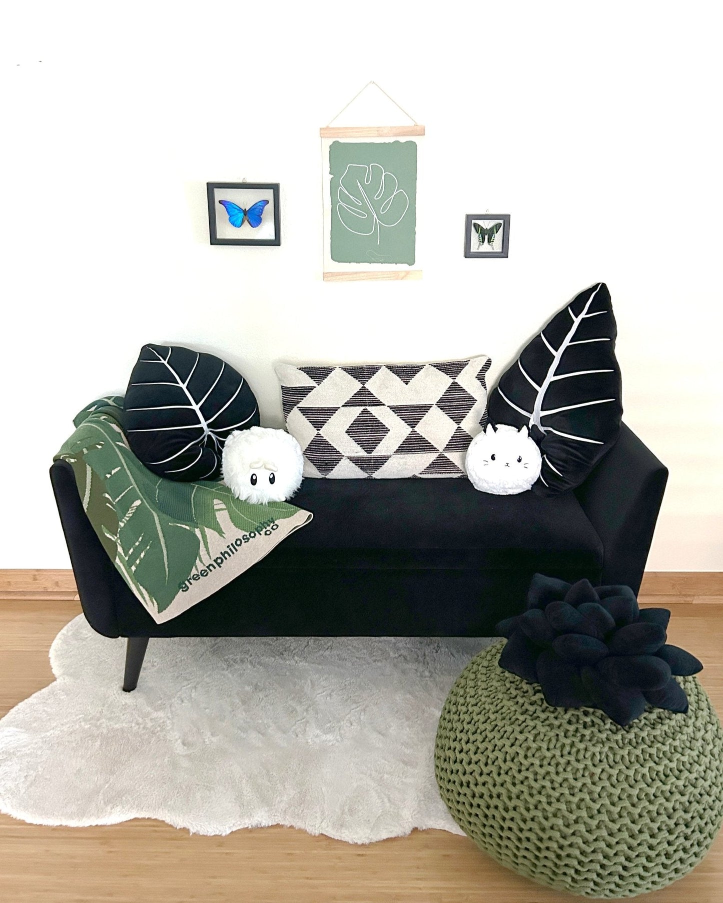 Alocasia Frydek - Obsidian - mosswell.us