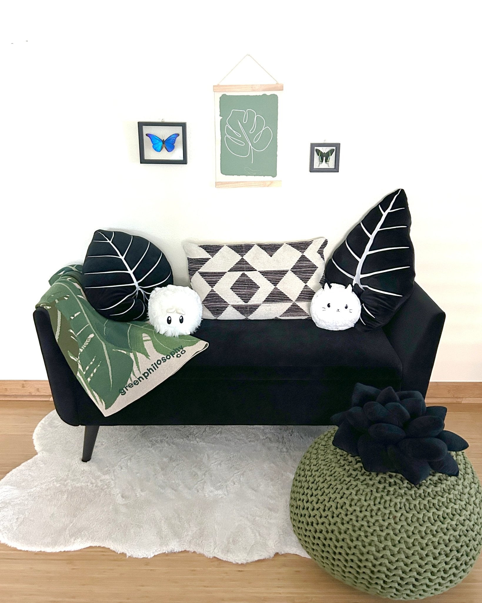 Alocasia Frydek - Obsidian - mosswell.us