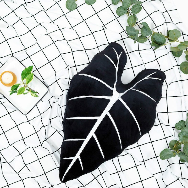 Alocasia Frydek - Obsidian - mosswell.us