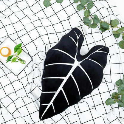 Alocasia Frydek - Obsidian - mosswell.us