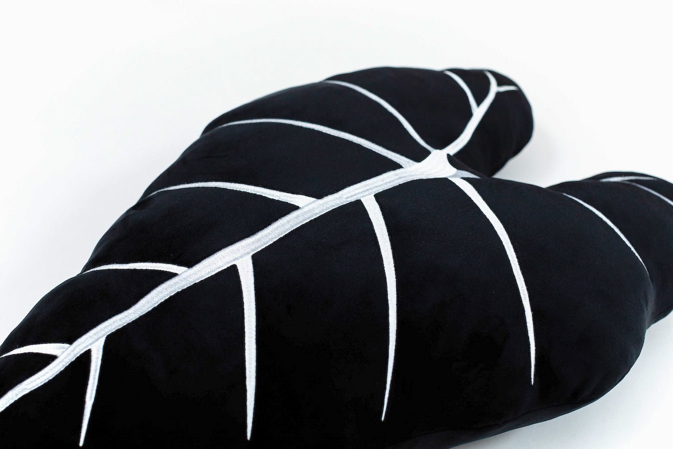 Alocasia Frydek - Obsidian - mosswell.us