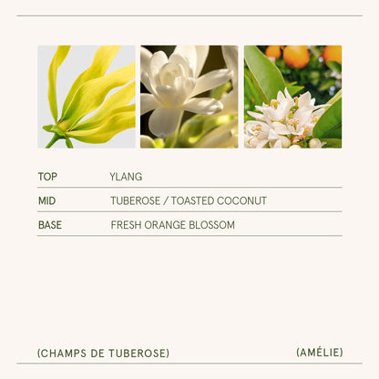 Amélie – Champs de Tuberose Candle - mosswell.us