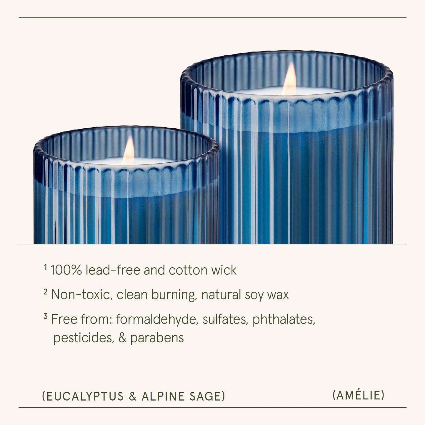 Amélie – Eucalyptus & Alpine Sage Candle - mosswell.us