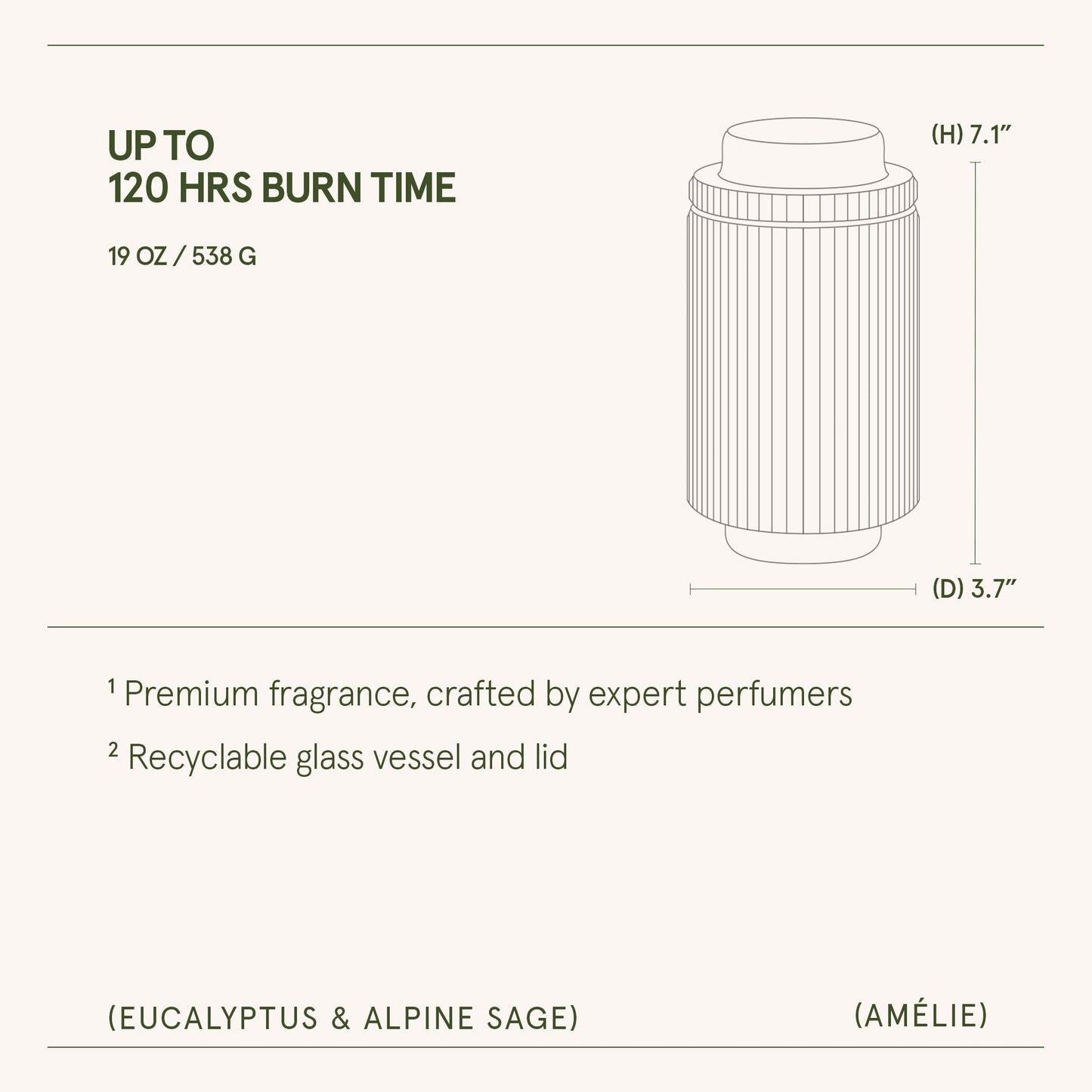 Amélie – Eucalyptus & Alpine Sage Candle - mosswell.us