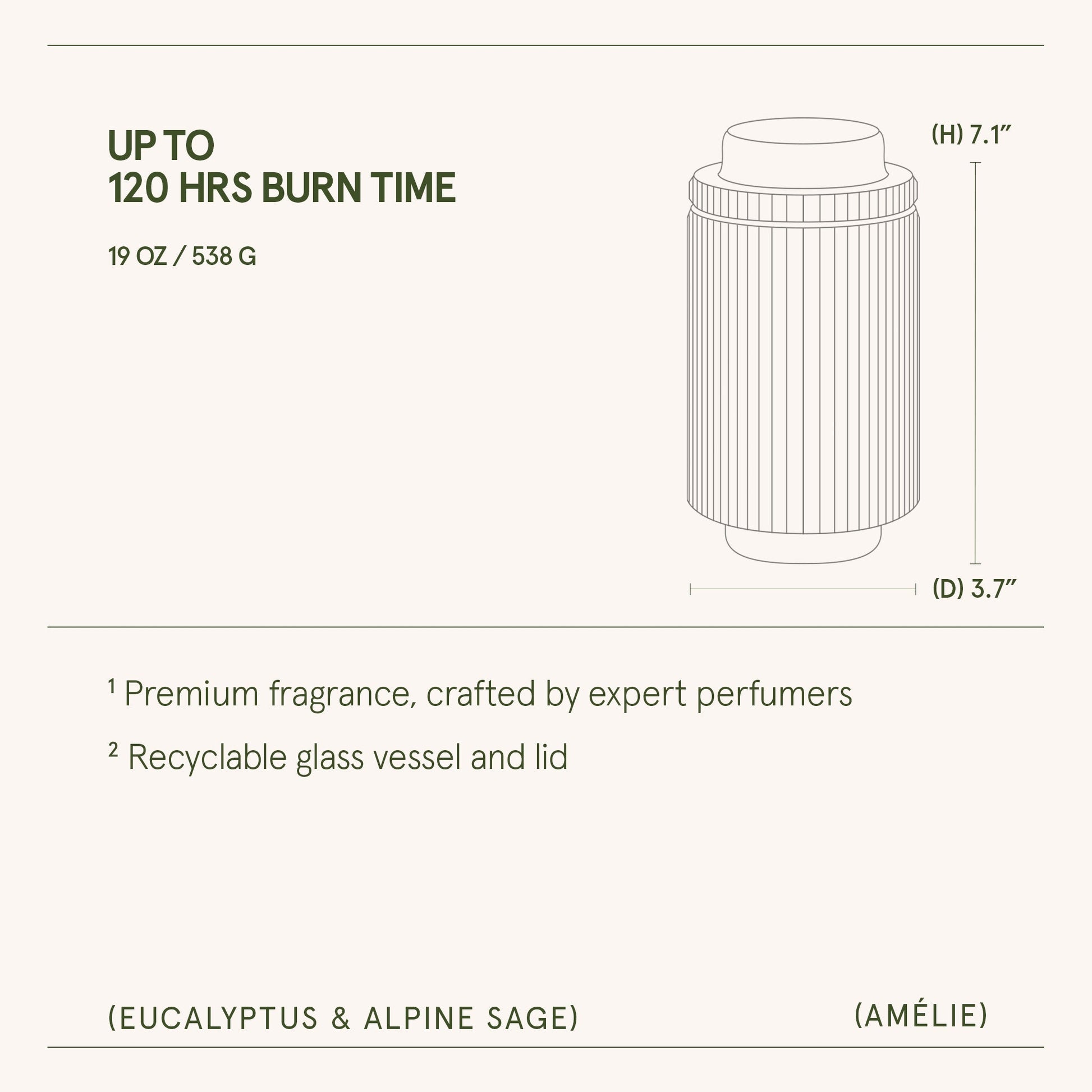 Amélie – Eucalyptus & Alpine Sage Candle - mosswell.us