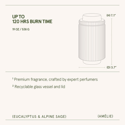 Amélie – Eucalyptus & Alpine Sage Candle - mosswell.us