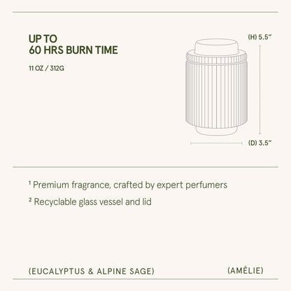 Amélie – Eucalyptus & Alpine Sage Candle - mosswell.us