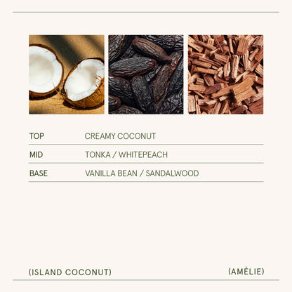 Amélie – Island Coconut Candle - mosswell.us