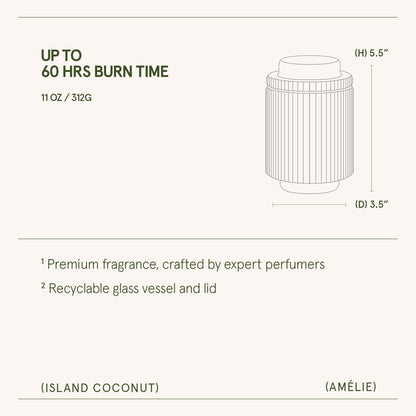 Amélie – Island Coconut Candle - mosswell.us