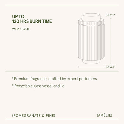 Amélie – Pomegranate & Pine Candle - mosswell.us