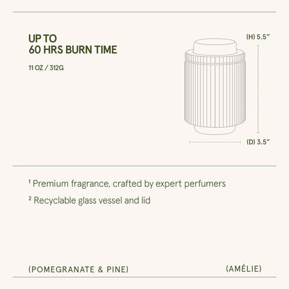 Amélie – Pomegranate & Pine Candle - mosswell.us