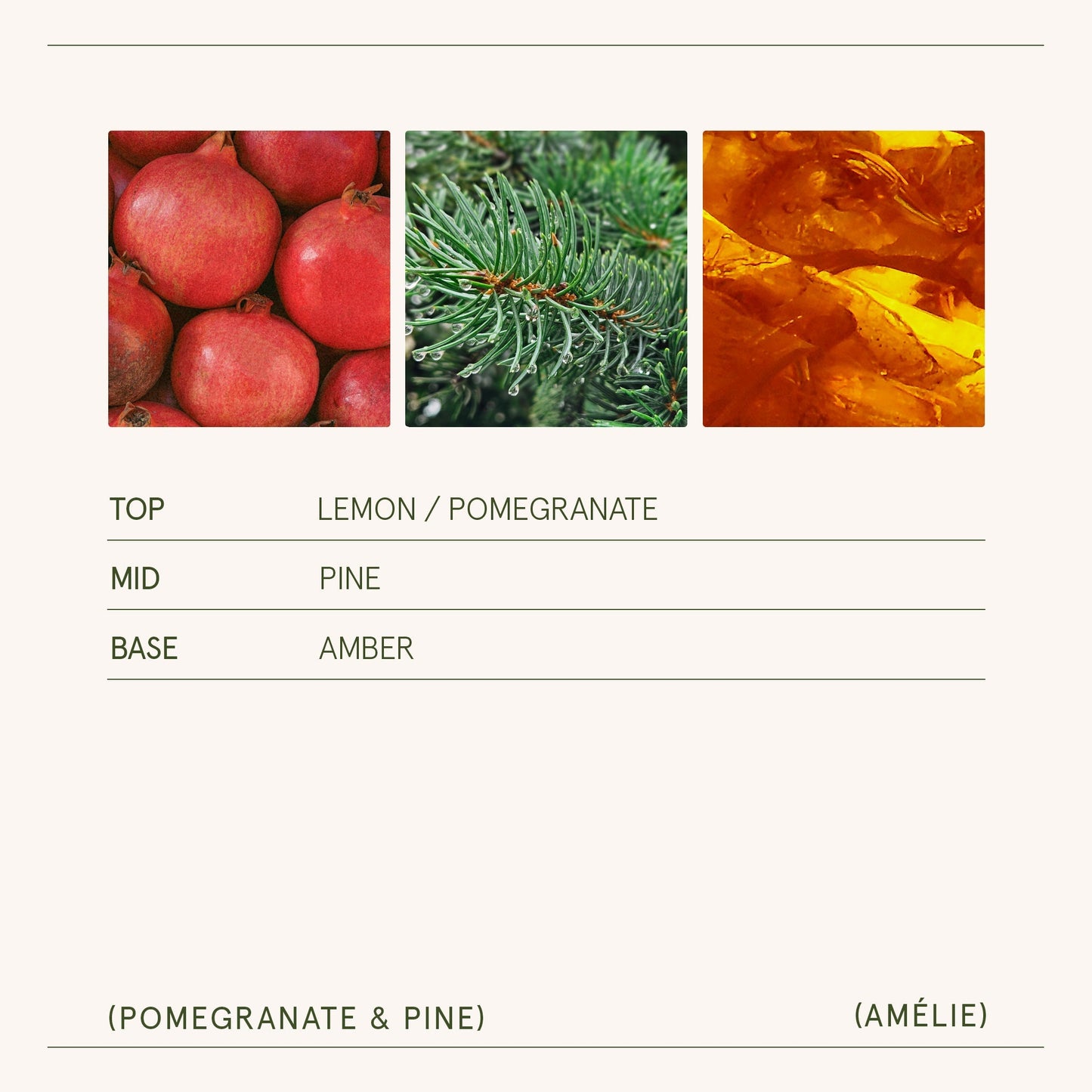 Amélie – Pomegranate & Pine Candle - mosswell.us