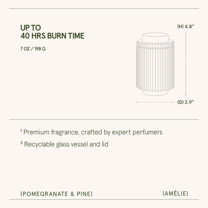 Amélie – Pomegranate & Pine Candle - mosswell.us