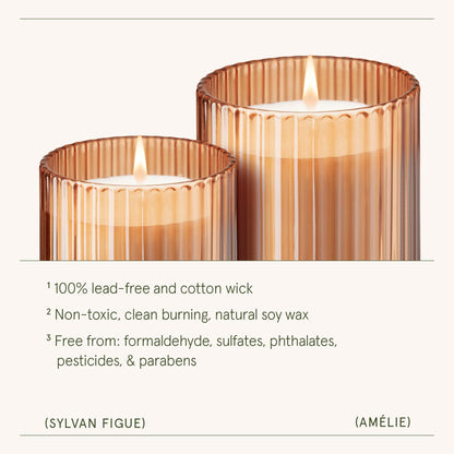Amélie – Sylvan Figue Candle - mosswell.us