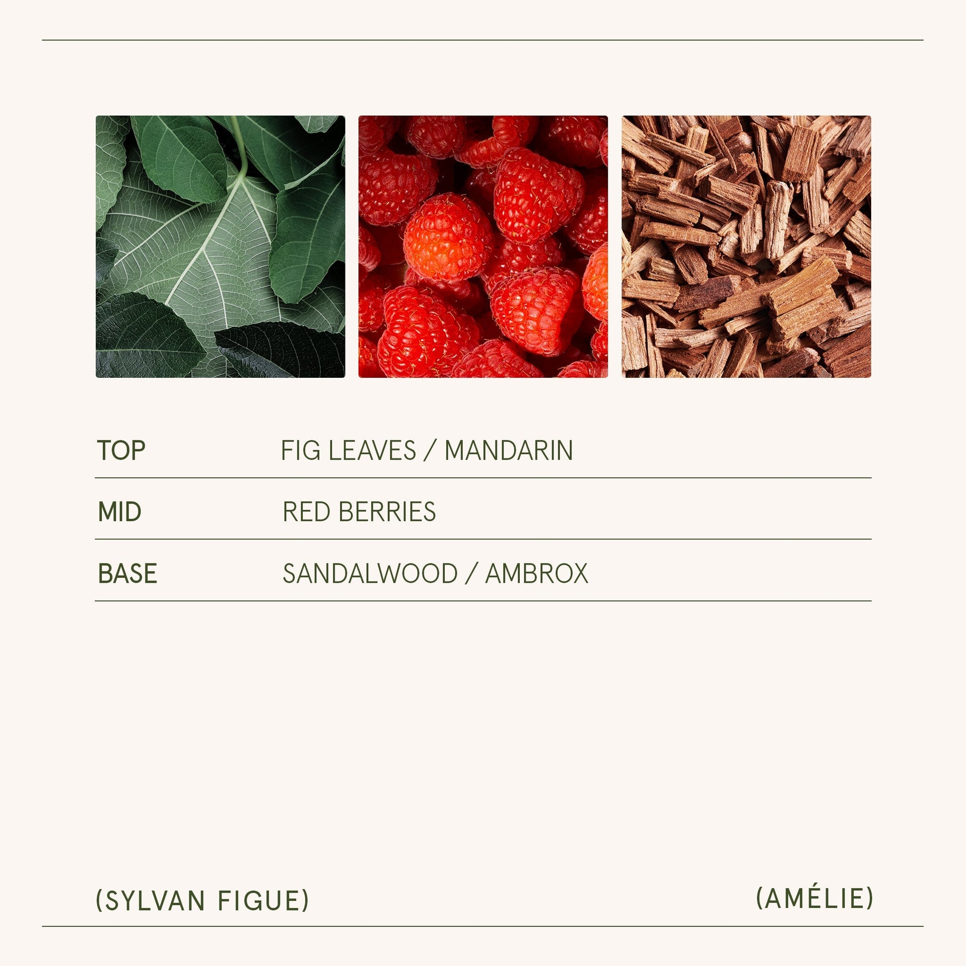 Amélie – Sylvan Figue Candle - mosswell.us