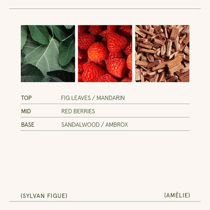 Amélie – Sylvan Figue Candle - mosswell.us
