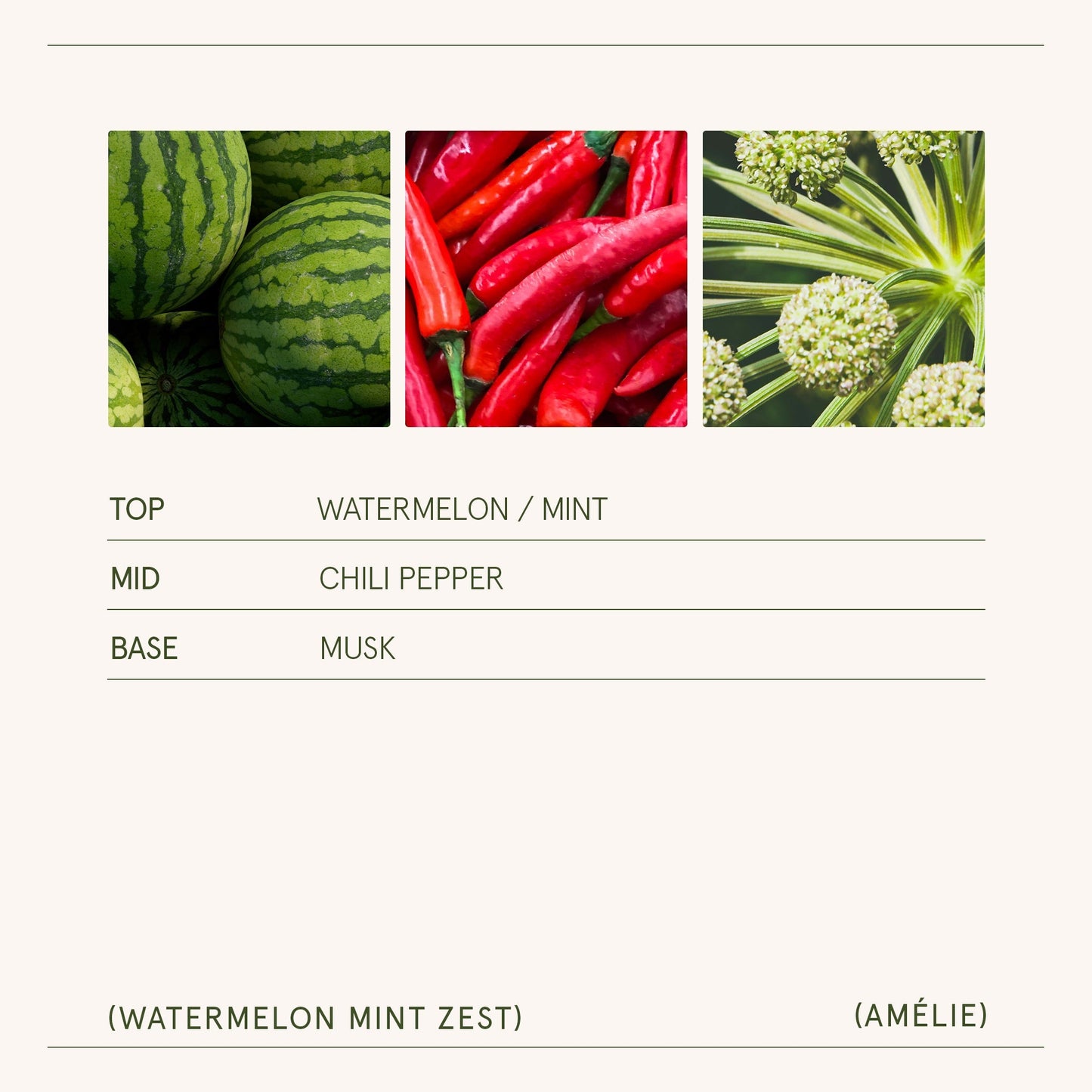 Amélie – Watermelon Mint Zest Candle - mosswell.us