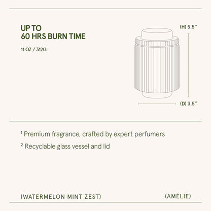 Amélie – Watermelon Mint Zest Candle - mosswell.us