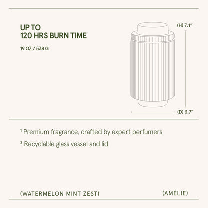Amélie – Watermelon Mint Zest Candle - mosswell.us