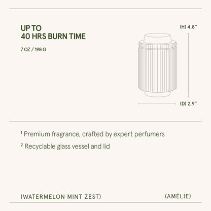 Amélie – Watermelon Mint Zest Candle - mosswell.us