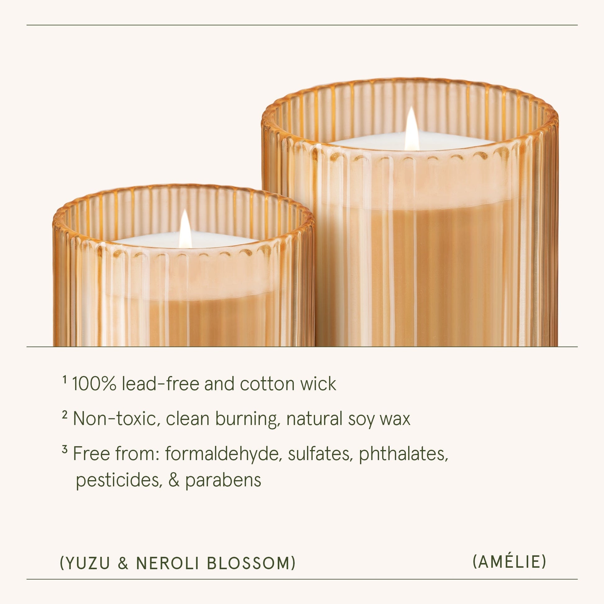 Amélie – Yuzu & Neroli Blossom Candle - mosswell.us