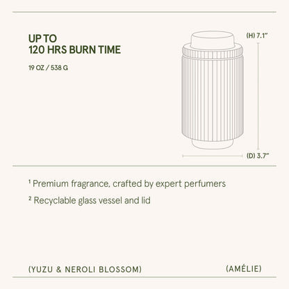 Amélie – Yuzu & Neroli Blossom Candle - mosswell.us