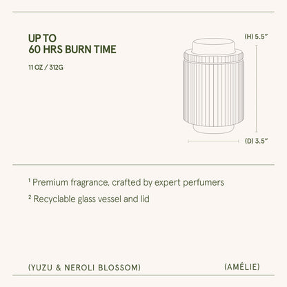 Amélie – Yuzu & Neroli Blossom Candle - mosswell.us