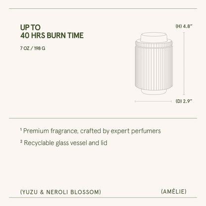 Amélie – Yuzu & Neroli Blossom Candle - mosswell.us
