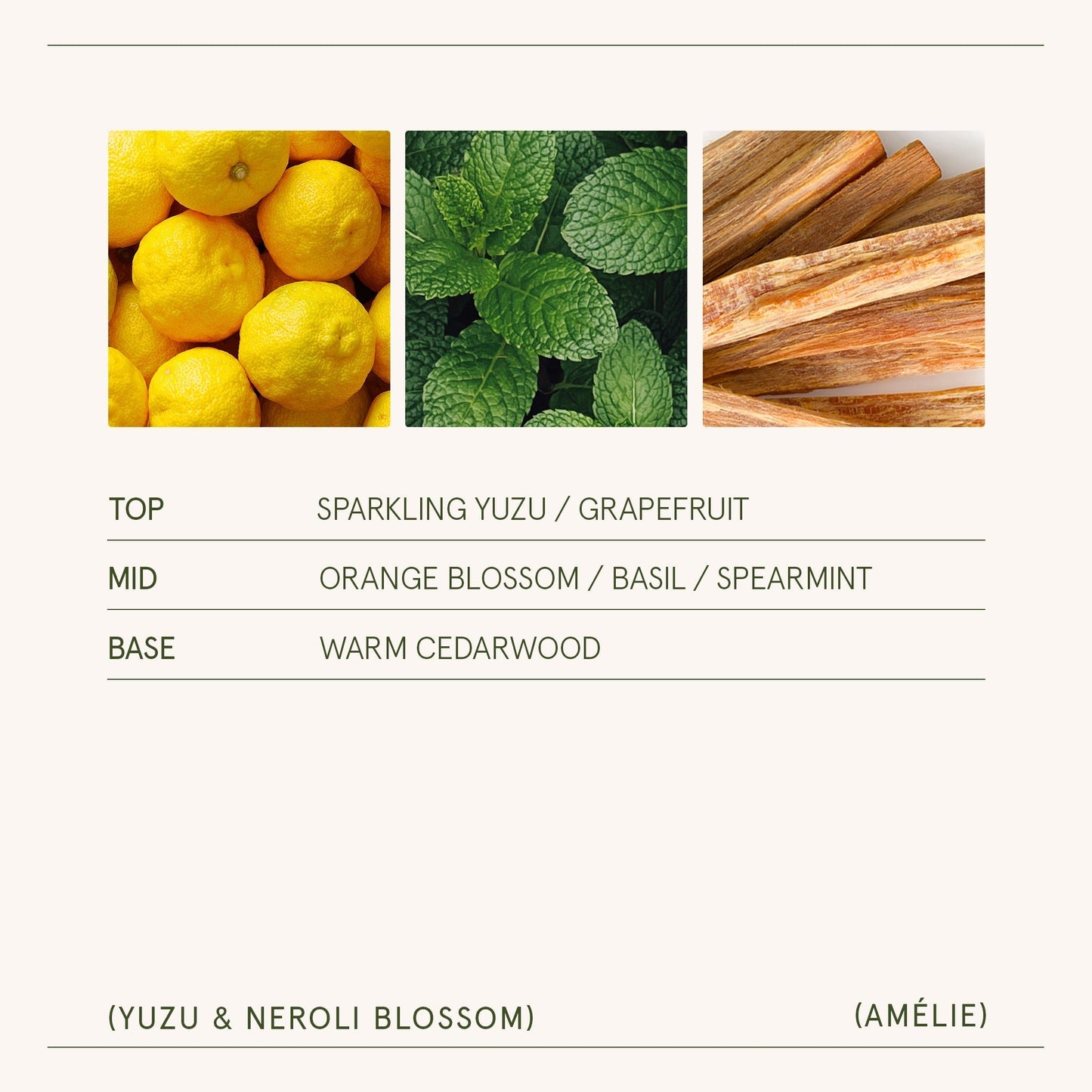 Amélie – Yuzu & Neroli Blossom Candle - mosswell.us