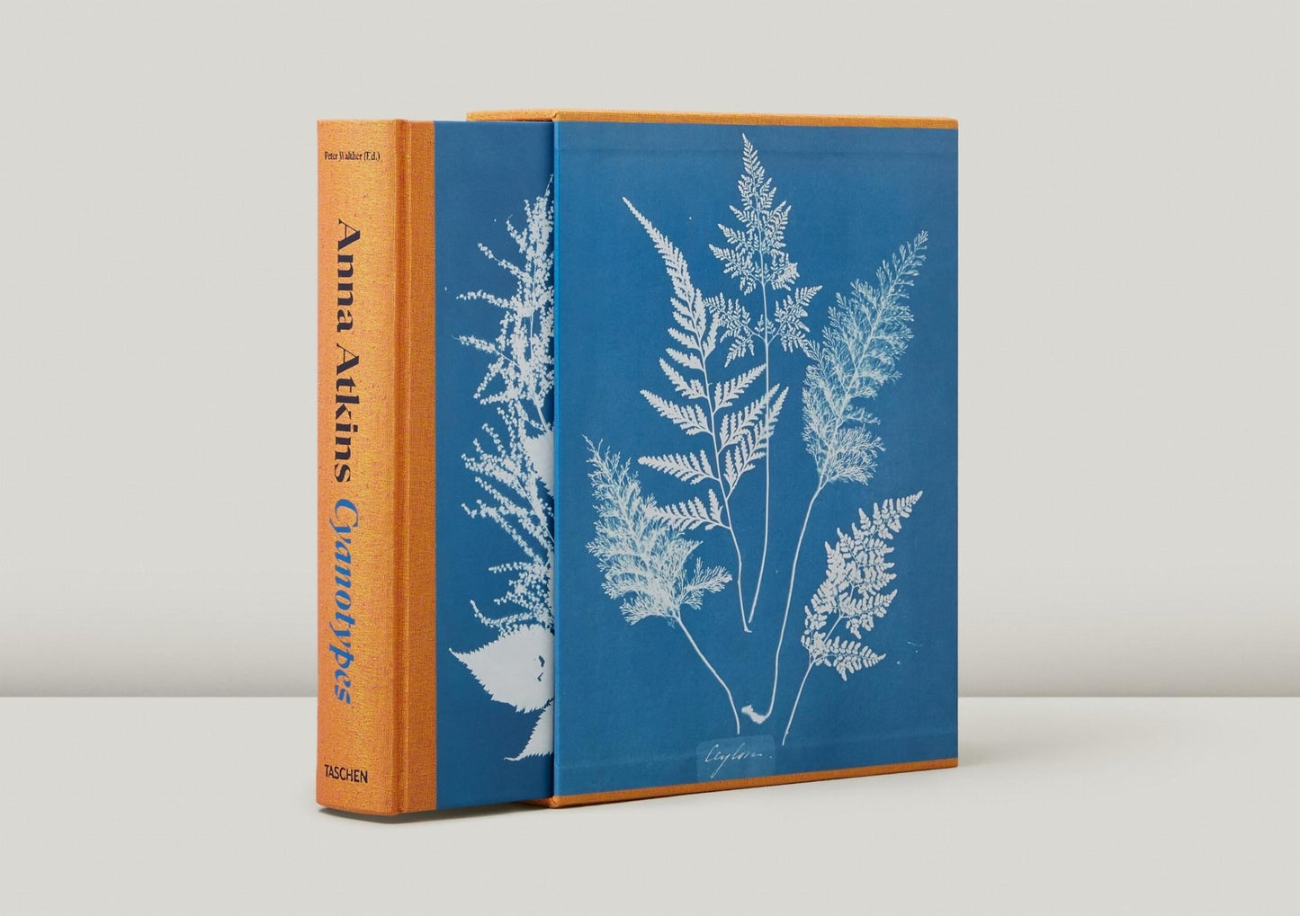Anna Atkins. Cyanotypes (German, French, English) (FFE) - mosswell.us