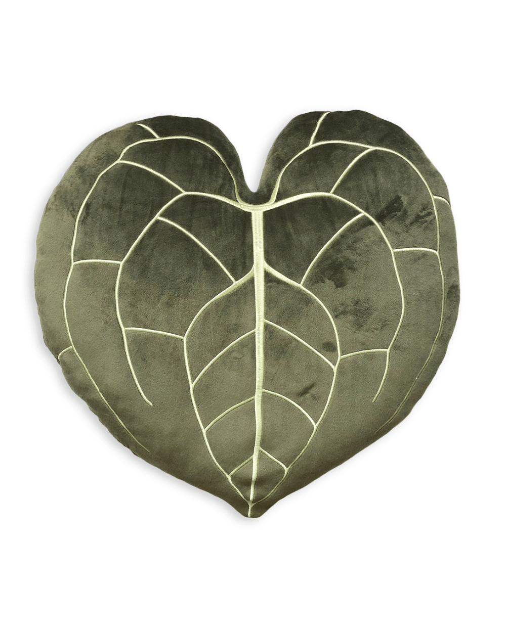 Anthurium Clarinervium - Khaki - mosswell.us