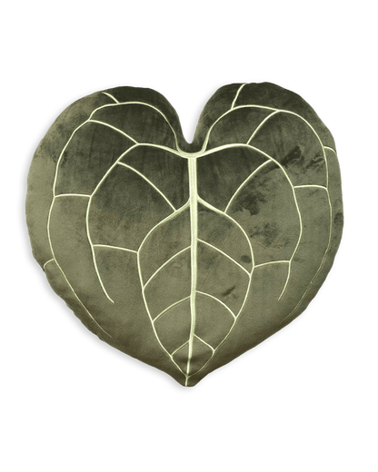 Anthurium Clarinervium - Khaki - mosswell.us