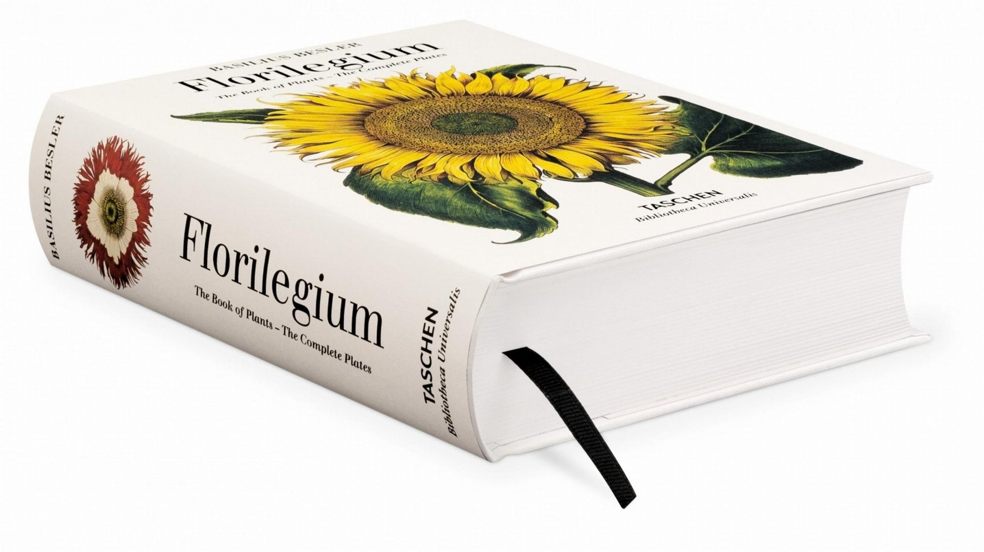 Basilius Besler. Florilegium. The Book of Plants (English) - mosswell.us