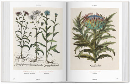 Basilius Besler. Florilegium. The Book of Plants (English) - mosswell.us
