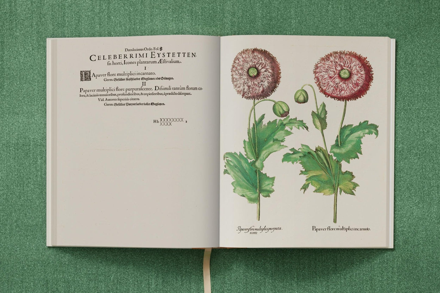 Basilius Besler. The Garden at Eichstätt (German, French, English) (FFE) - mosswell.us