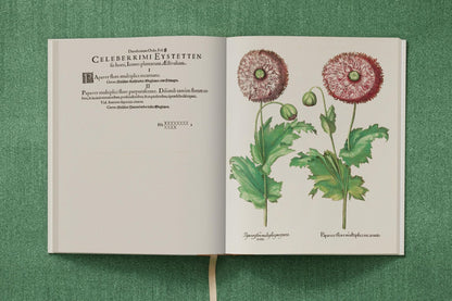 Basilius Besler. The Garden at Eichstätt (German, French, English) (FFE) - mosswell.us