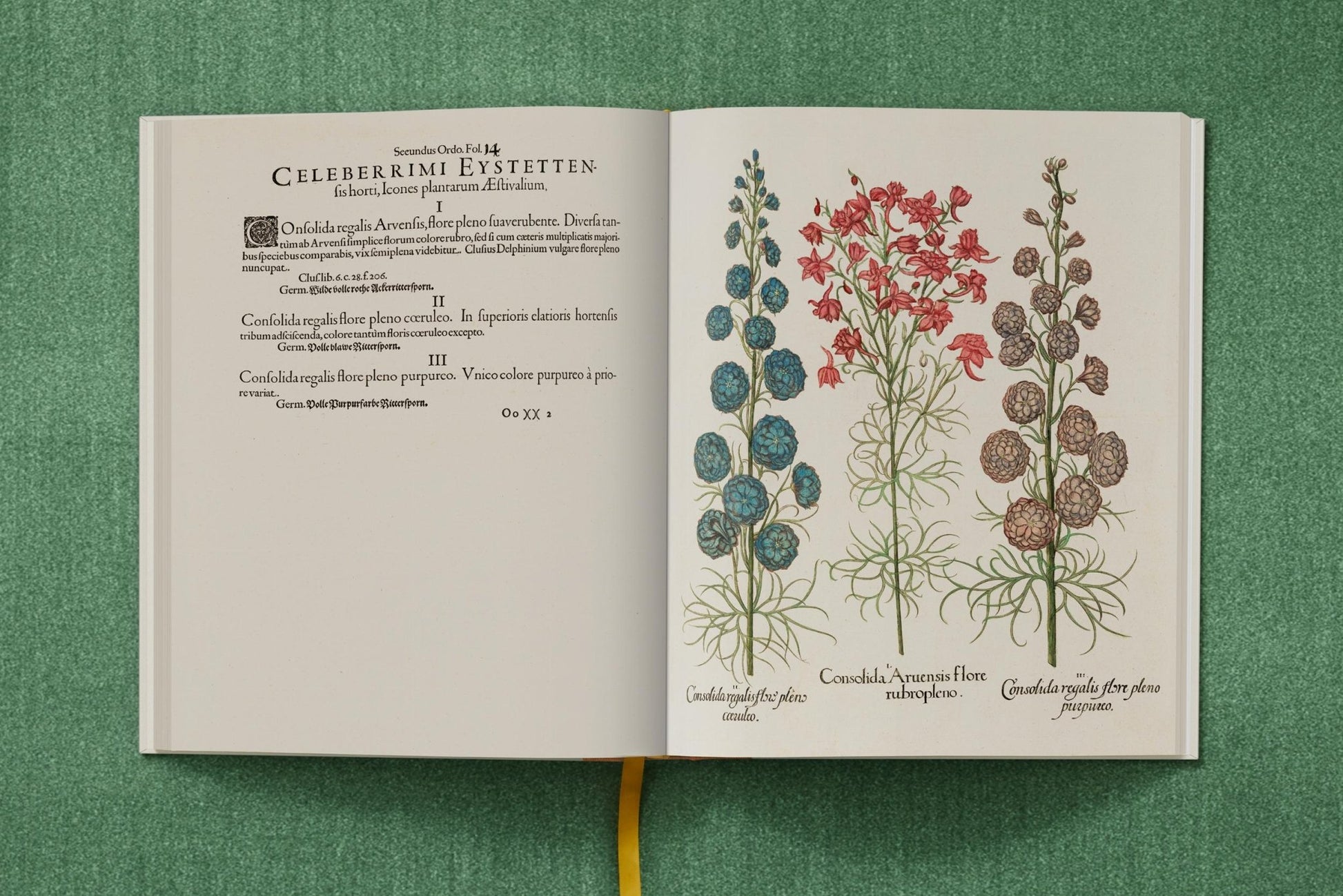 Basilius Besler. The Garden at Eichstätt (German, French, English) (FFE) - mosswell.us