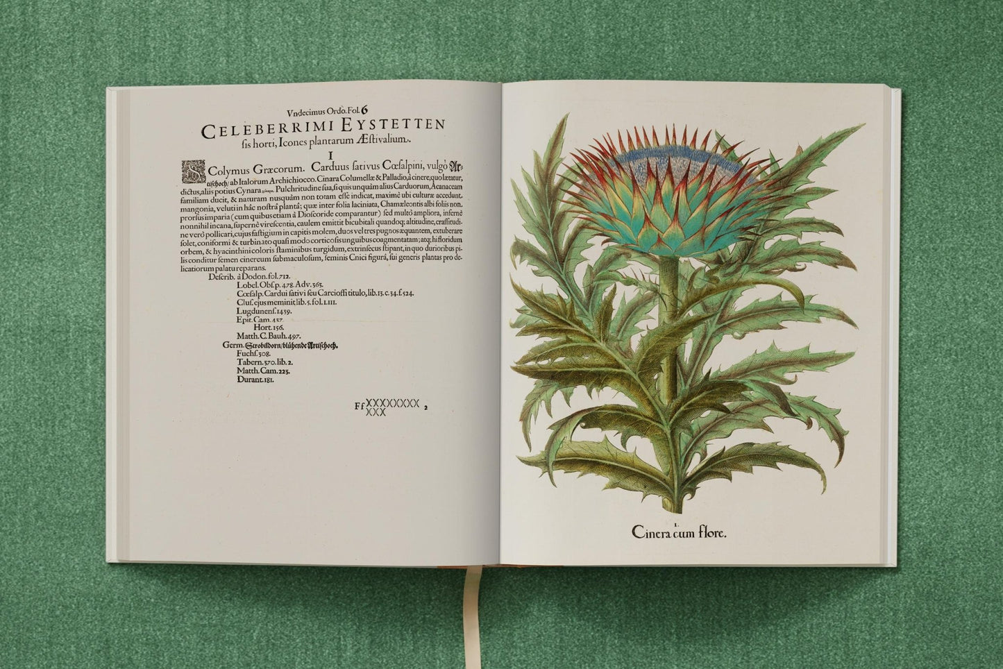 Basilius Besler. The Garden at Eichstätt (German, French, English) (FFE) - mosswell.us
