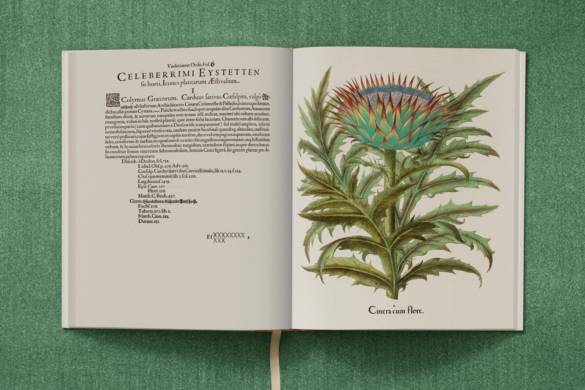 Basilius Besler. The Garden at Eichstätt (German, French, English) (FFE) - mosswell.us