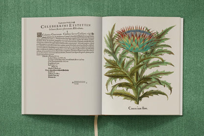 Basilius Besler. The Garden at Eichstätt (German, French, English) (FFE) - mosswell.us
