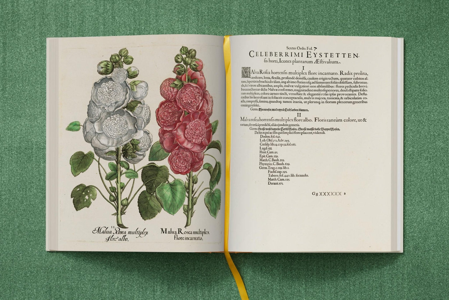 Basilius Besler. The Garden at Eichstätt (German, French, English) (FFE) - mosswell.us