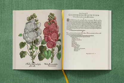 Basilius Besler. The Garden at Eichstätt (German, French, English) (FFE) - mosswell.us