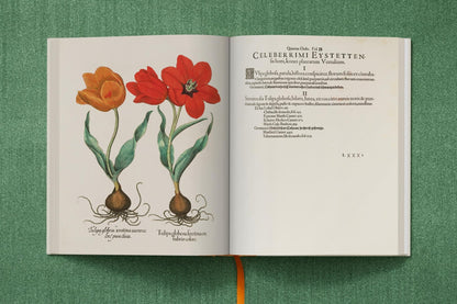 Basilius Besler. The Garden at Eichstätt (German, French, English) (FFE) - mosswell.us