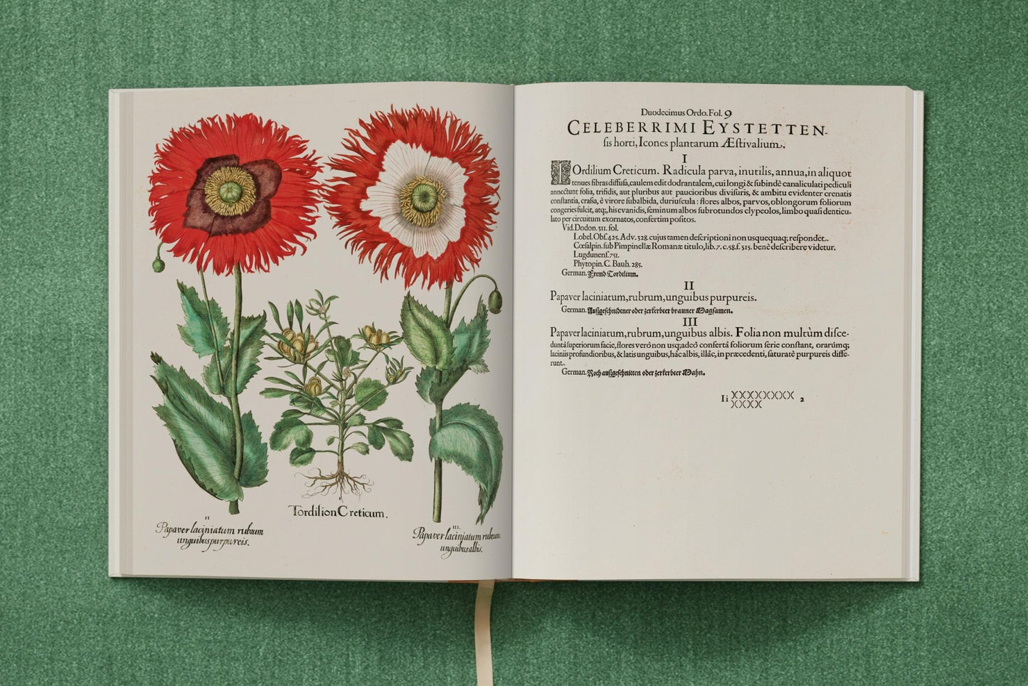 Basilius Besler. The Garden at Eichstätt (German, French, English) (FFE) - mosswell.us