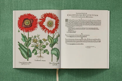 Basilius Besler. The Garden at Eichstätt (German, French, English) (FFE) - mosswell.us