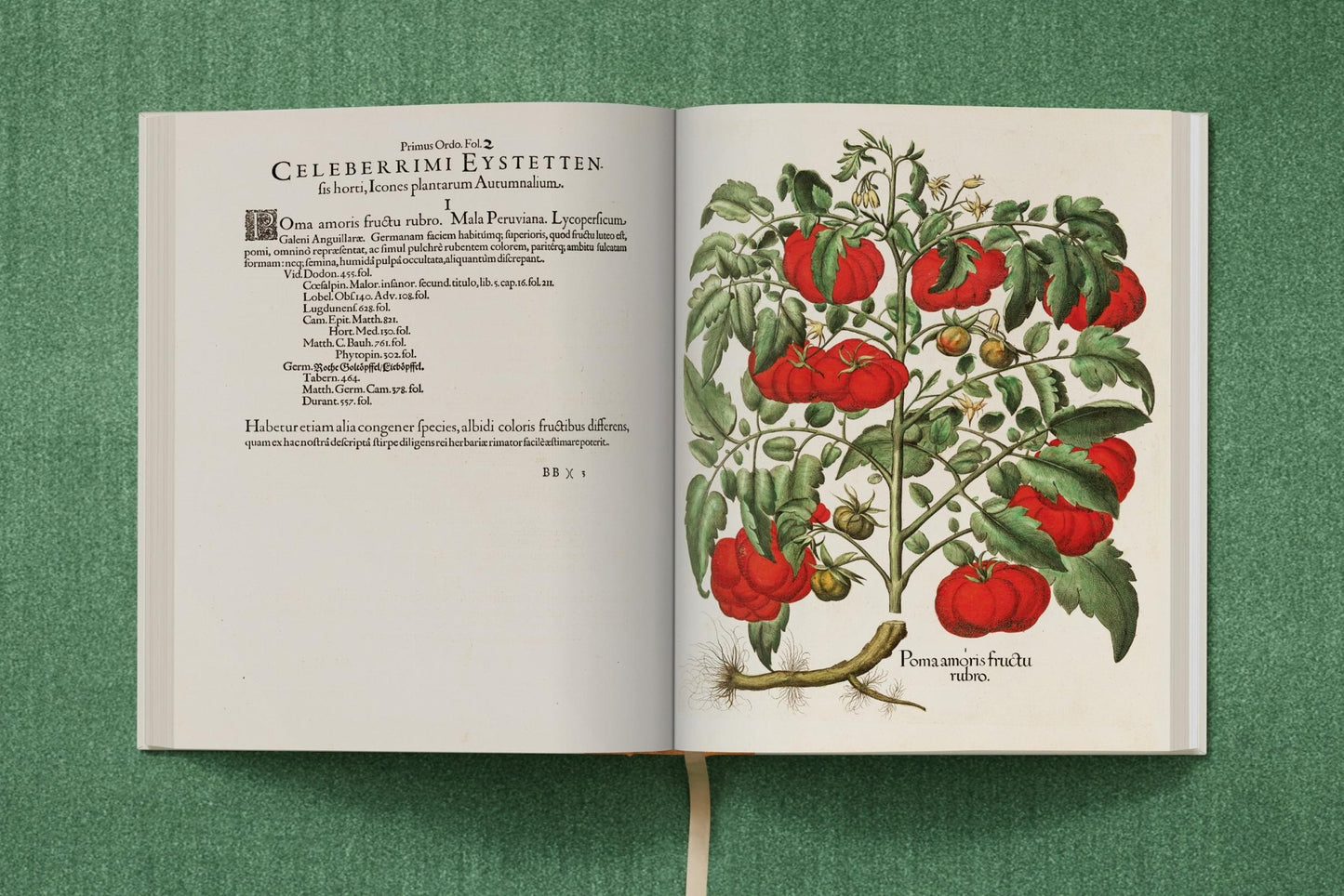 Basilius Besler. The Garden at Eichstätt (German, French, English) (FFE) - mosswell.us